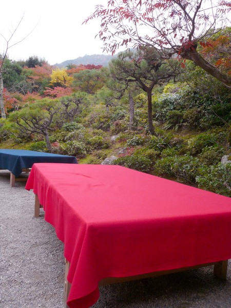 赤い都で紅葉パトロールin京都