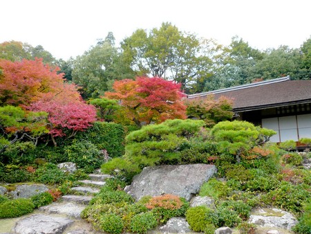 赤い都で紅葉パトロールin京都