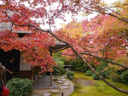 赤い都で紅葉パトロールin京都