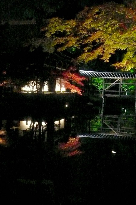 赤い都で紅葉パトロールin京都