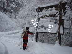 ここわ どこ?
