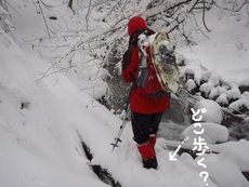 ここわ どこ?
