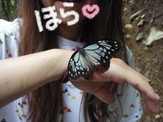 夏の天使♪