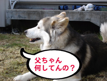 サプライズ!