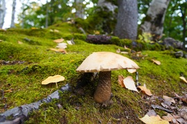 朱鞠内タンタカキャンプ2012