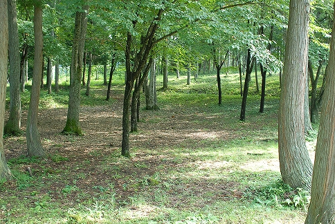 飛騨市森林公園キャンプ場 勝手に探訪企画