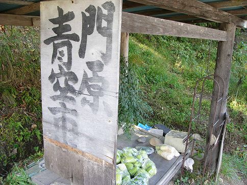 長野県最南部キャンプ場探訪 予告編