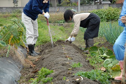 イモ煮会