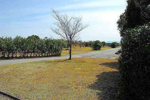 高須町公園オートキャンプ場