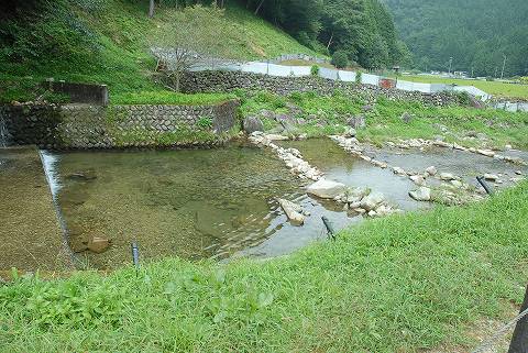 まるかりの里久野川