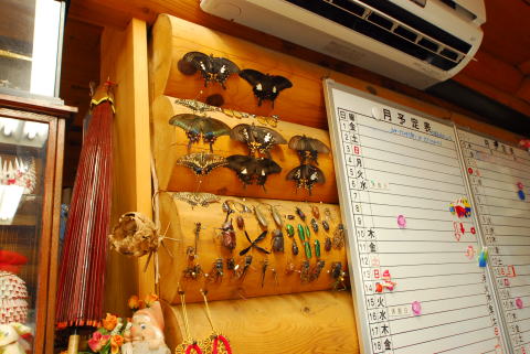 勝手に探訪企画 文殊の森 安いキャンプ場です