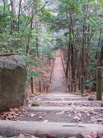 陽気にさそわれ名古屋の里山へ
