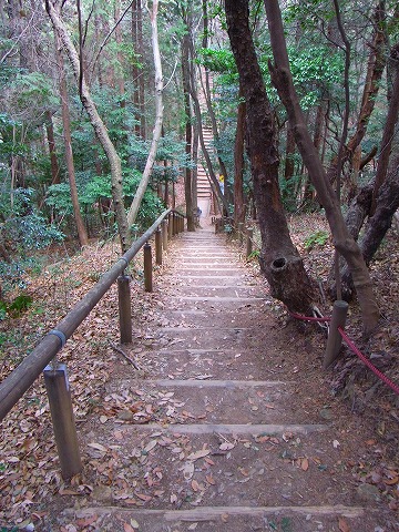 陽気にさそわれ名古屋の里山へ