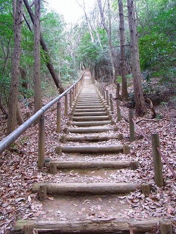 陽気にさそわれ名古屋の里山へ