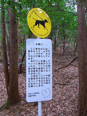 陽気にさそわれ名古屋の里山へ