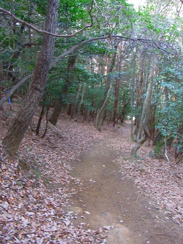 陽気にさそわれ名古屋の里山へ