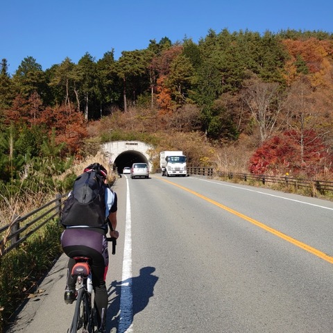 河口湖紅葉ライド 河口湖紅葉ライド