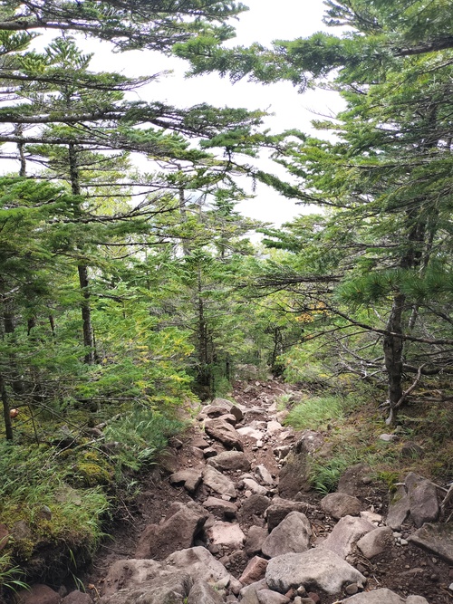 編笠山へ。。。 編笠山へ。。。