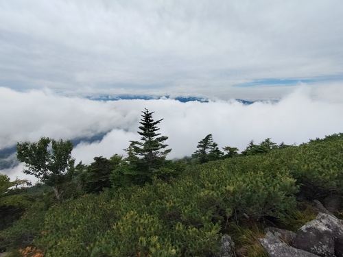 編笠山へ。。。 編笠山へ。。。