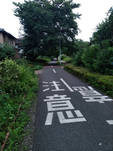 大岳キャンプ場ライド 大岳キャンプ場ライド