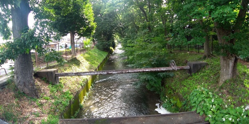 大岳キャンプ場ライド 大岳キャンプ場ライド