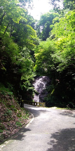 大岳キャンプ場ライド 大岳キャンプ場ライド