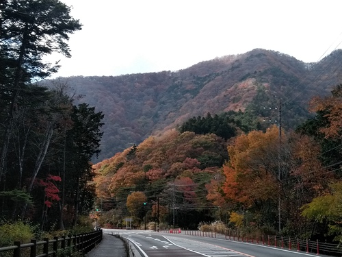 ふもとっぱら自転車キャンプ ふもとっぱら自転車キャンプ
