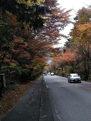 ふもとっぱら自転車キャンプ ふもとっぱら自転車キャンプ