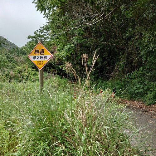 南房総ライド 南房総ライド