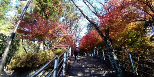 河口湖紅葉ライド 河口湖紅葉ライド