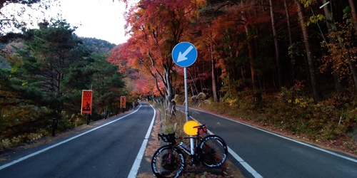 河口湖紅葉ライド 河口湖紅葉ライド