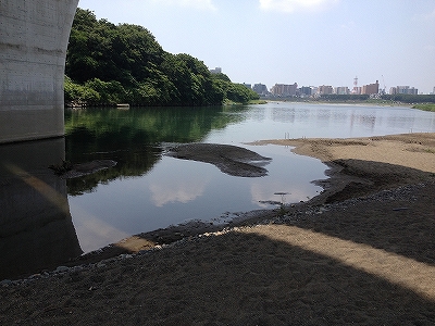 のどかな午後 のどかな午後