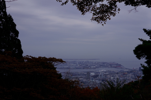 晩秋の摩耶山（↑青谷道↓上野道）