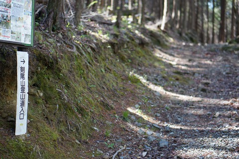 ナヤミナシの剣尾山からの杜のテラスCAMP ナヤミナシの剣尾山からの杜のテラスCAMP