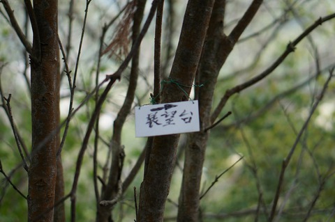 ナヤミナシの剣尾山からの杜のテラスCAMP ナヤミナシの剣尾山からの杜のテラスCAMP