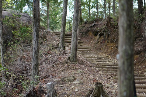 ナヤミナシの剣尾山からの杜のテラスCAMP ナヤミナシの剣尾山からの杜のテラスCAMP