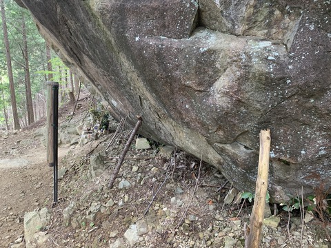 ナヤミナシの剣尾山からの杜のテラスCAMP ナヤミナシの剣尾山からの杜のテラスCAMP