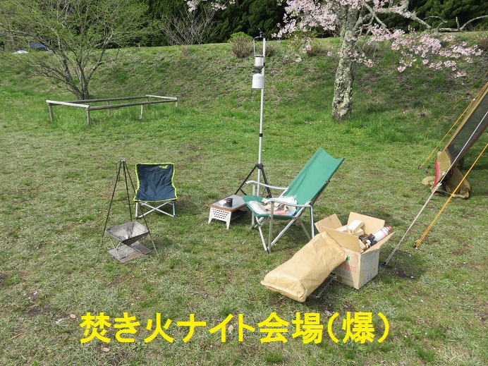 今年最後の桜と、私の最後?にて最高な幕(てっこつ大分支部花見キャン) 今年最後の桜と、私の最後?にて最高な幕(てっこつ大分支部花見キャン)