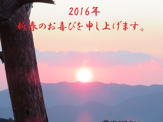 新春初物づくし!?の2016年! 新春初物づくし!?の2016年!
