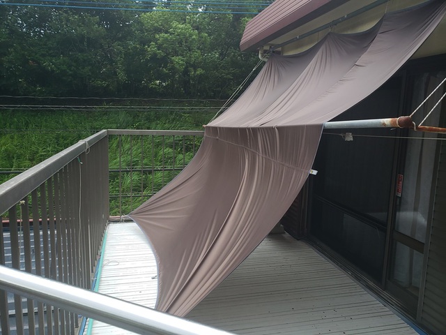 夏が来た!?6~7月いなぞう通信備忘録(動画付き) 夏が来た!?6~7月いなぞう通信備忘録(動画付き)