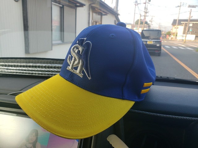 爆買い(大谷グッズ)備忘録(動画付き) 爆買い(大谷グッズ)備忘録(動画付き)