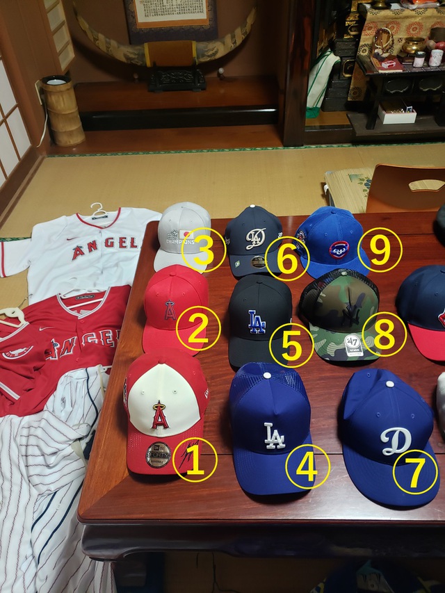 爆買い(大谷グッズ)備忘録(動画付き) 爆買い(大谷グッズ)備忘録(動画付き)