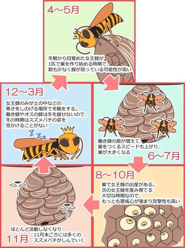 夏が来た!?6~7月いなぞう通信備忘録(動画付き) 夏が来た!?6~7月いなぞう通信備忘録(動画付き)