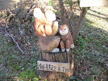 父子ハイキングdeシダンゴ山 丹沢大山国定公園
