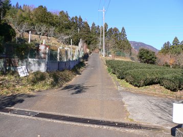 父子ハイキングdeシダンゴ山 丹沢大山国定公園