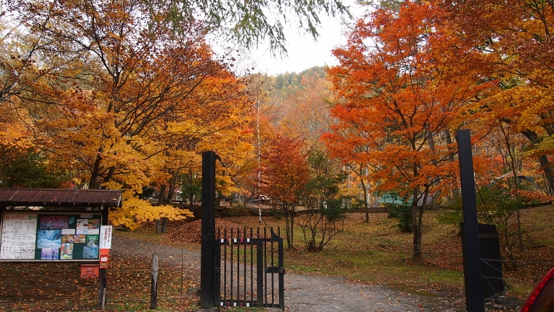 紅葉真っ赤っかキャンプ 笛吹小屋キャンプ場