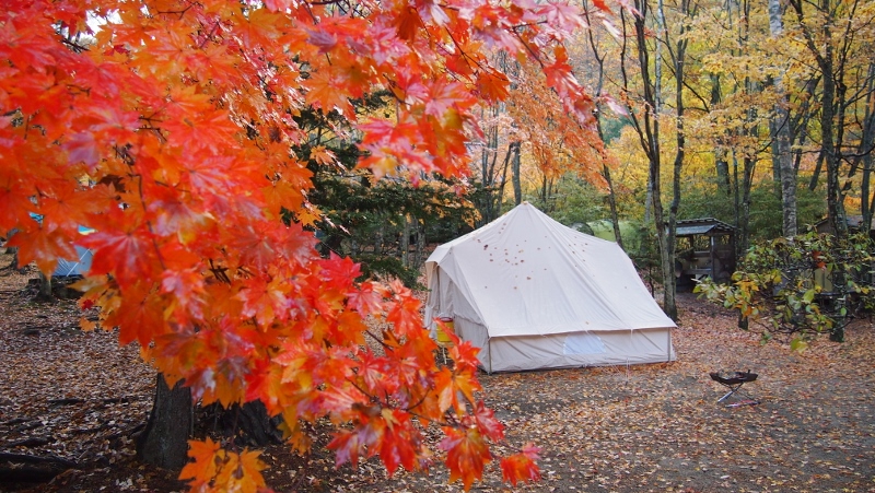 紅葉真っ赤っかキャンプ 笛吹小屋キャンプ場