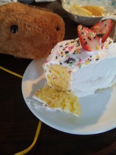 カピバラさん