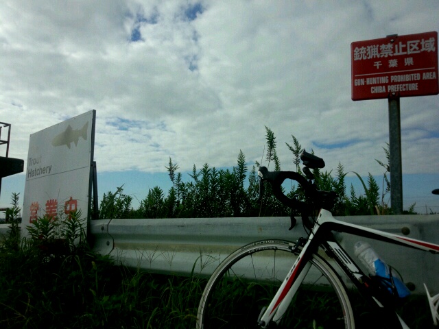 手賀沼~印旛沼サイクリング