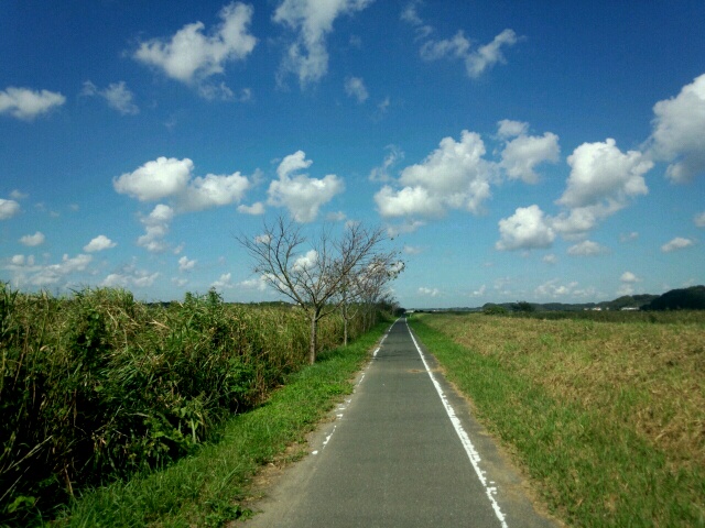 手賀沼~印旛沼サイクリング